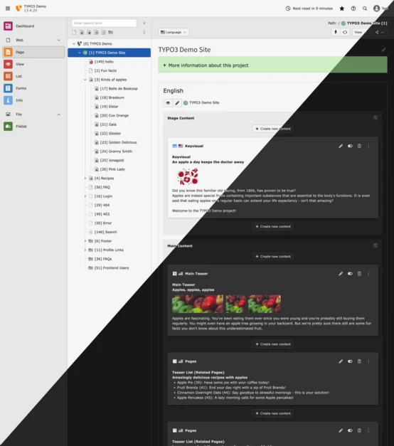 Dashboard-Ansicht einer TYPO3-Demo-Seite, die Projektdetails, Inhaltsabschnitte und Bearbeitungsoptionen für verschiedene Elemente anzeigt.