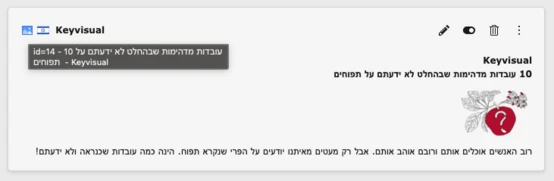 Screenshot of translated element in TYPO3 backend