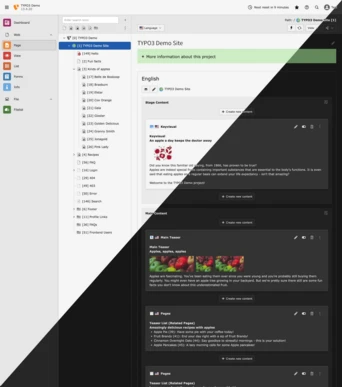 Dashboard view of a TYPO3 demo site, displaying project details, content sections, and editing options for various elements.