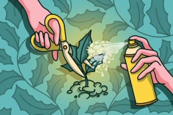Hands using scissors to cut a holly branch while another hand sprays it with a can, surrounded by holly leaves.