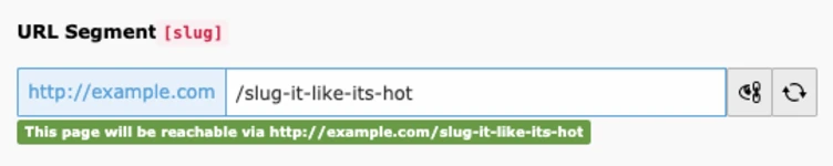 Input field for a URL segment labeled "[slug]" with a sample URL "http://example.com/slug-it-like-its-hot" and a note indicating the page will be reachable via that URL.