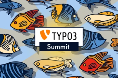 Beitragsbild für Artikel Notizen aus Atlanta — Was der erste TYPO3 Summit North America über das nächste Jahrzehnt Enterprise-CMS verrät