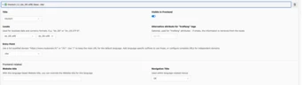 A user interface displaying fields for entering details such as title, location, alternative attributes, entry point, and navigation title, with options for language settings and website-related information.