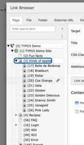 TYPO3 v11 Seitenbaum im Record Selector - Anker