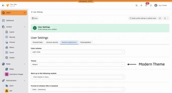 User settings interface displaying options for color scheme, theme selection, and module startup preferences.