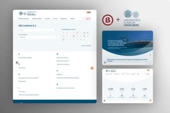 Website interface for Universitätsklinikum Heidelberg, featuring a list of institutes and statistical data on healthcare services.