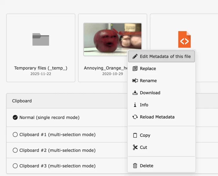 Ein roter, cartoonhaft gestalteter orangener Charakter mit einem Gesicht wird in einer digitalen Benutzeroberfläche zwischen Dateisymbolen und Clipboard-Optionen angezeigt.