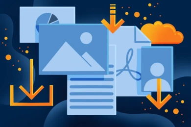 Image for Article Direct Downloads of Assets and Media