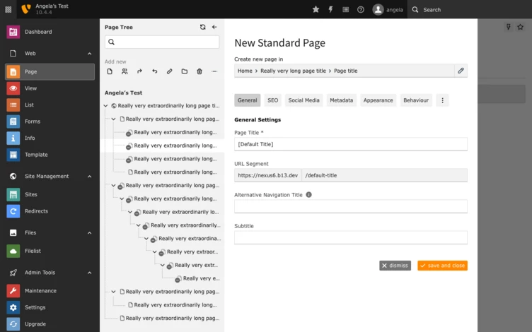 A user interface displaying a content management system with a sidebar for page navigation and a main section for creating a new standard page, including fields for title, URL segment, and subtitle.
