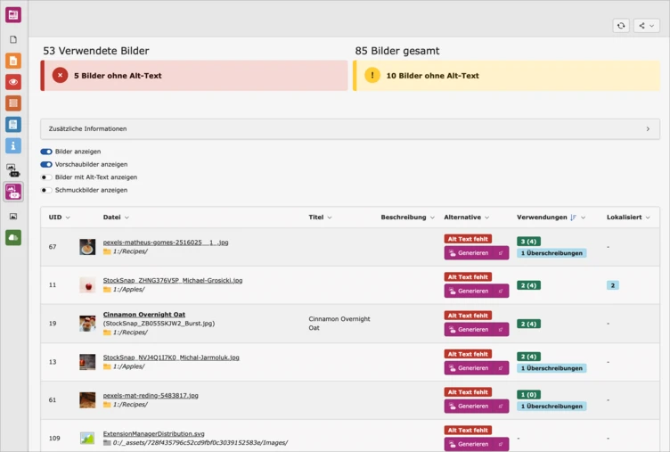 Tabelle mit Statistiken zur Bildnutzung, einschließlich der Anzahl der Bilder mit und ohne Alt-Text sowie Titel und Beschreibungen für einzelne Bilder.