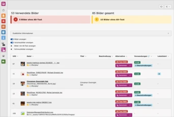 Tabelle mit Statistiken zur Bildnutzung, einschließlich der Anzahl der Bilder mit und ohne Alt-Text sowie Titel und Beschreibungen für einzelne Bilder.