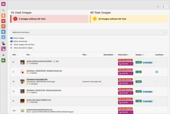 Dashboard displaying image usage statistics, including counts of images with and without alt text, along with additional options for managing images.