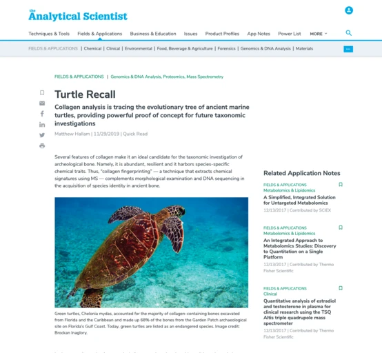 A green sea turtle swims underwater, showcasing its distinctive shell and flippers. The background features a blurred ocean environment, emphasizing the turtle as the main subject.