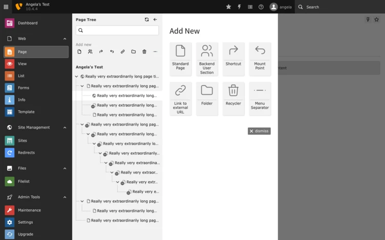 Selection of a Page Type (for New Page in TYPO3) A user interface displaying a dashboard with a sidebar menu labeled "Angela's Text." The main area shows options to add new items, including "Standard Page," "Shortcut," "Folder," and "Recycler," along with a list of text entries.