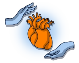An orange anatomical heart is centered between two stylized hands, symbolizing care or protection. The background features a circular light blue design.